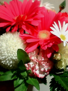 BD flower