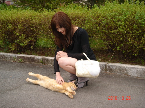 にゃーん