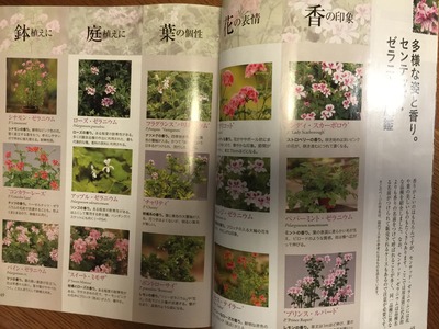 NHK趣味の園芸