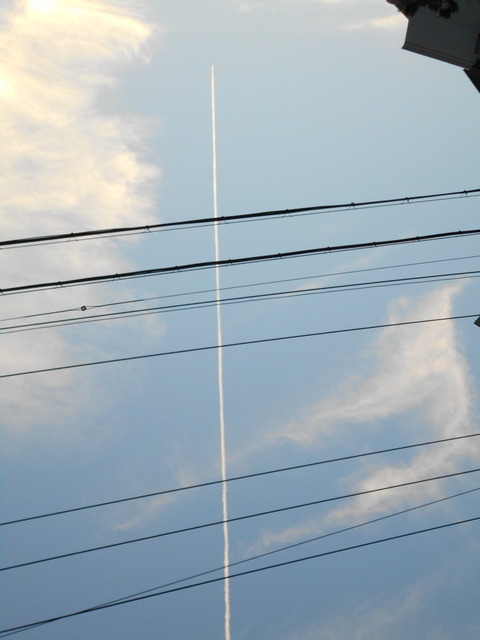 DSCN3004