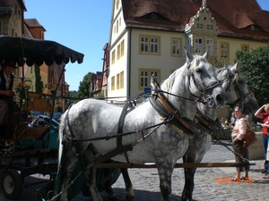 CIMG0793
