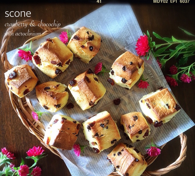 中シットリのホシノ天然酵母でスコーン チョコとクランベリー At My Kitchen レシピブログ