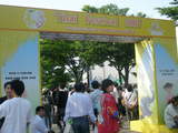 thai fes board