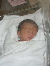 baby