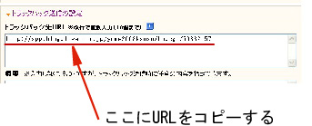 ¥³¥Ô¡¼