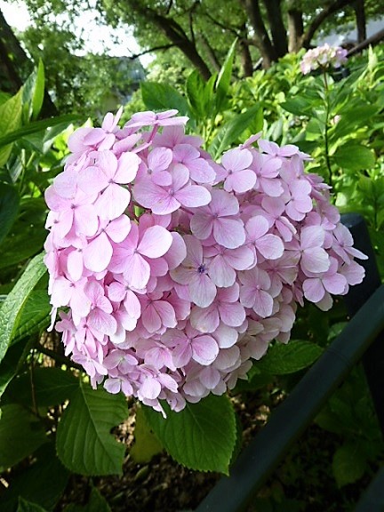 P1010494