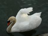 P1020608-