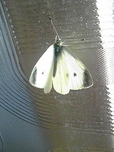 c6735779.jpg