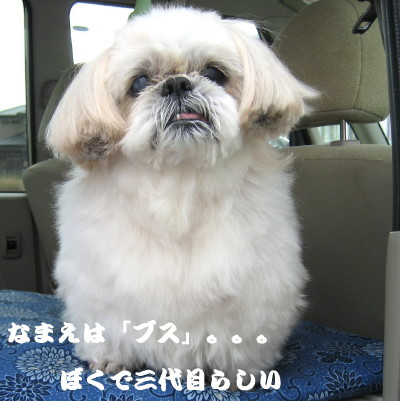 �̎ގ�