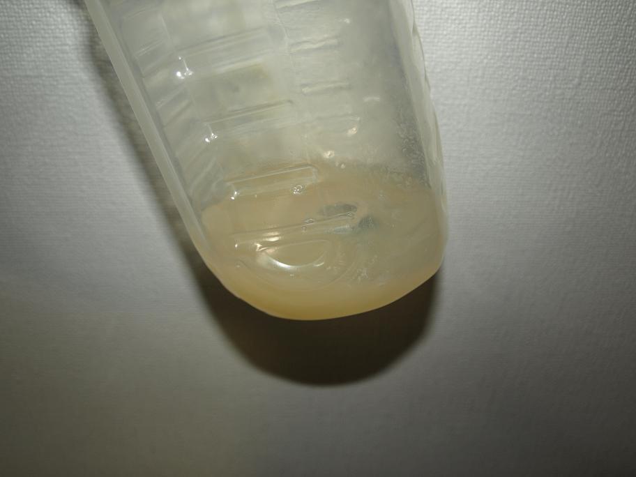 Iij[̃U[ɂYouTube>1{ ->摜>10 