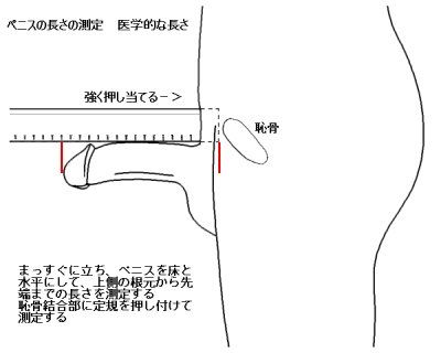 今日保存した最高の画像を転載するスレ 266YouTube動画>11本 ->画像>847枚 