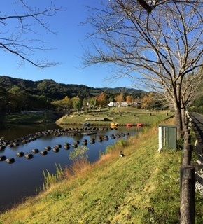秋フルーツパークの