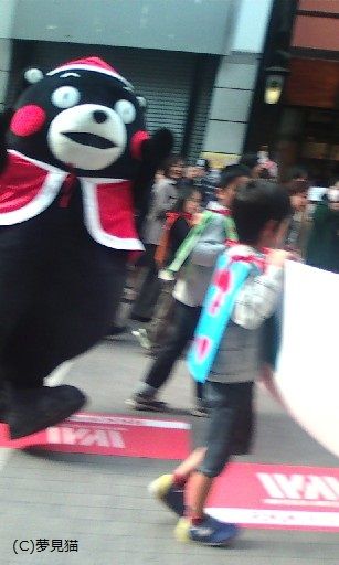 kumamon