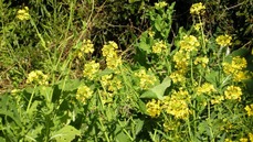 DSCN1442