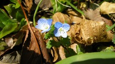 DSCN1448