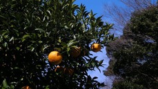 DSCN1445