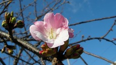 DSCN1440