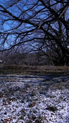 DSCN1373