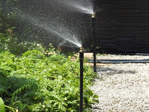 DSCN9039 (640x480)