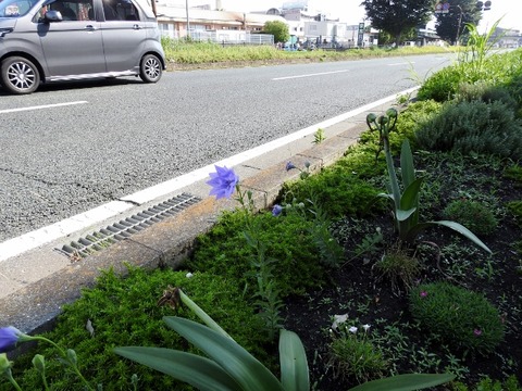 DSCN8426 (640x480)
