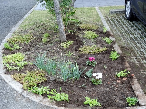 DSCN0349 (640x480)