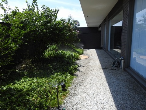 DSCN9038 (640x480)