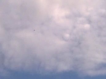MN1