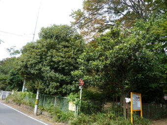 111001 656kouen