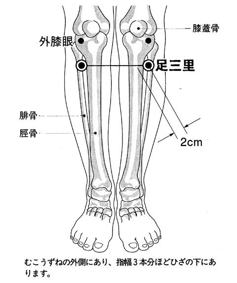 足三里2