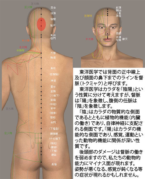 督脈の傷の影響
