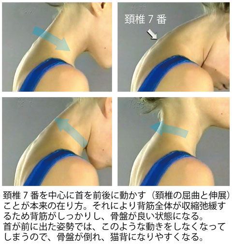 頚椎7を中心に首を動かす