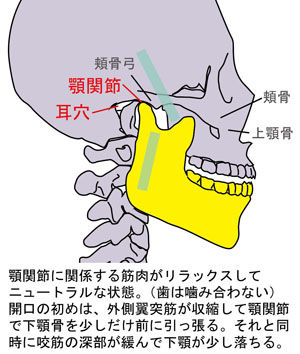 顎関節の動き01