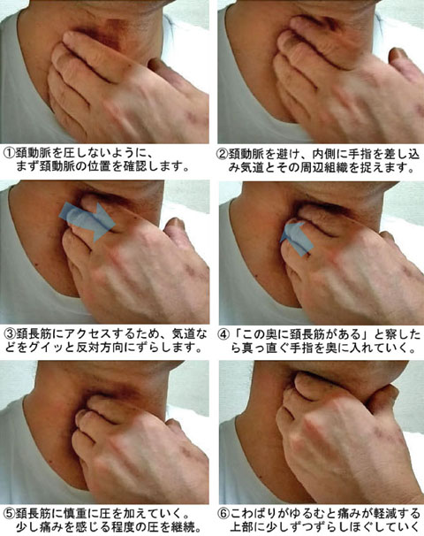 頚長筋へのセルフケア