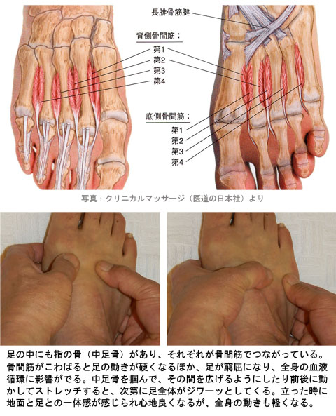 足の骨間筋ストレッチ
