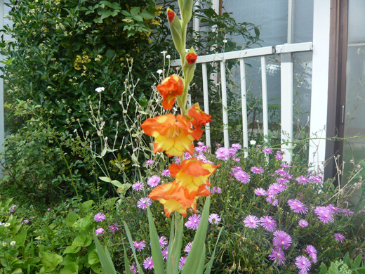7-15-3
