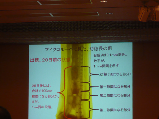 P1090091