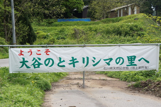 DSC03609
