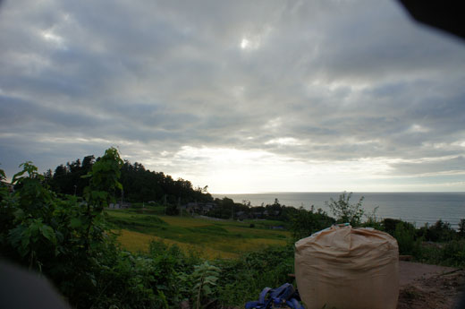 DSC07254