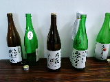 ファイル0009