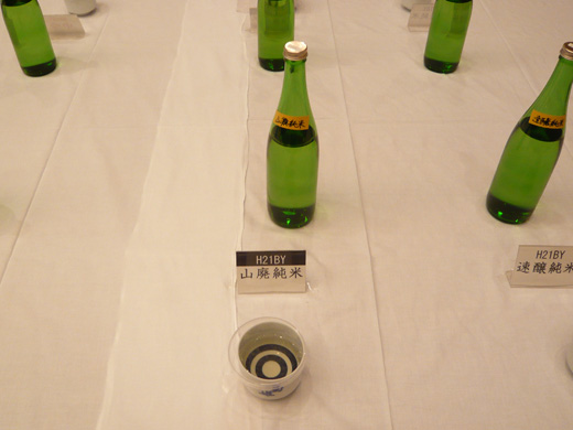 P1090109