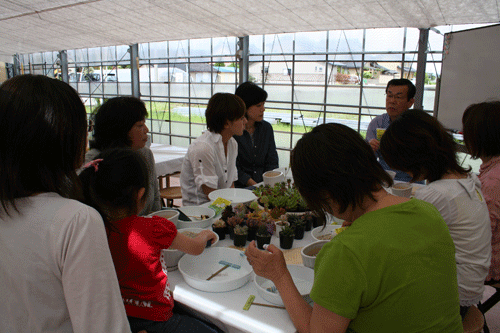 多肉植物の寄せ植え教室