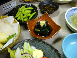 金時草の酢の物