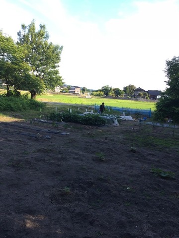 2017-06-17-17-17-39