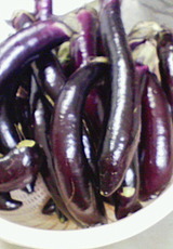 201109141959000 (1)