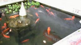 波佐見4