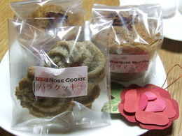 2012_0212バラフェア20120003