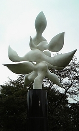 165de960.jpg