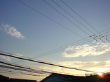 45a5b88a.jpg