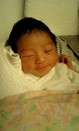 663c9231.jpg