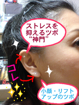 BlogPaint
